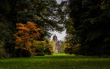 Westonbirt, The National Arboretum | Forestry England